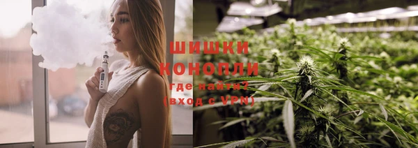 бошки Ельня