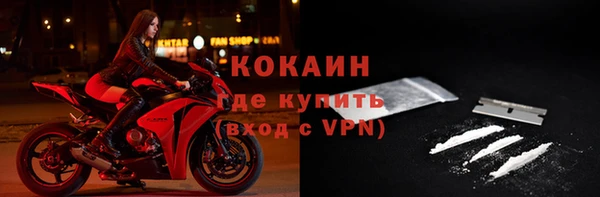 сатива Елабуга
