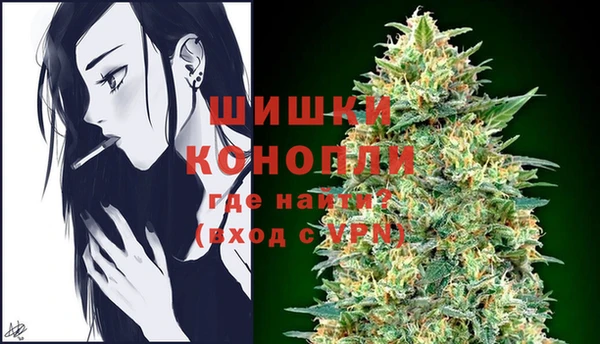 сатива Елабуга