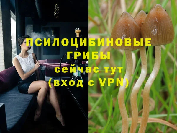 mix Елизово