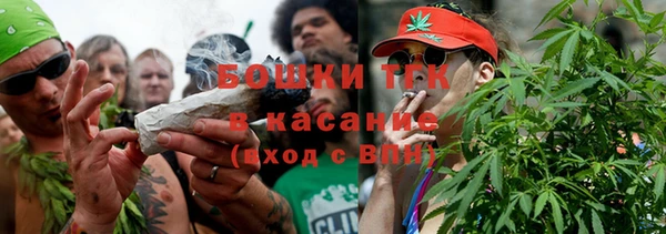 бошки Ельня