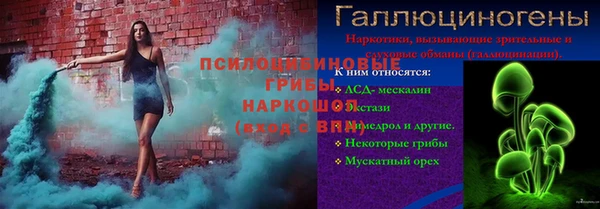 бошки Ельня