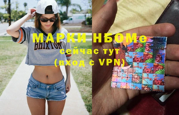 сатива Елабуга